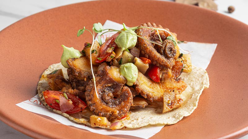 taco-de-chicharron-de-pulpo